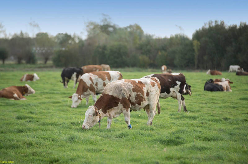 Bedrijfsbezoek: Natuurbeheer & korte ketens