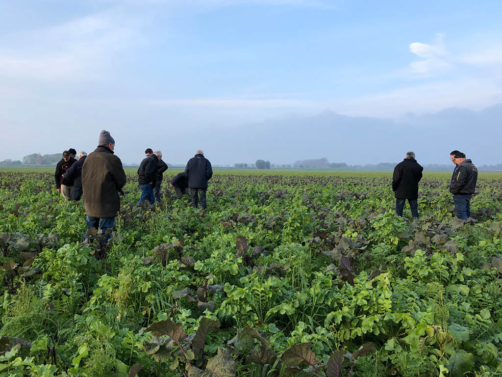 Bedrijfsbezoek: Niet-kerende grondbewerking goed voor natuur en bodem