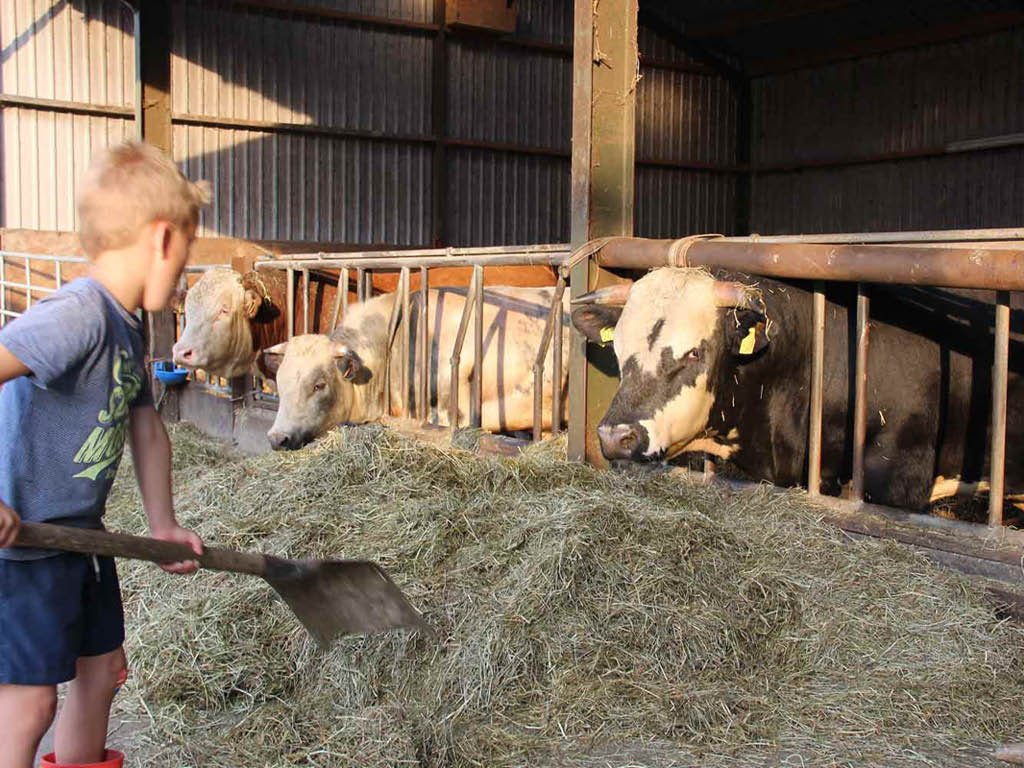 Onze boeren: BIO in de polder