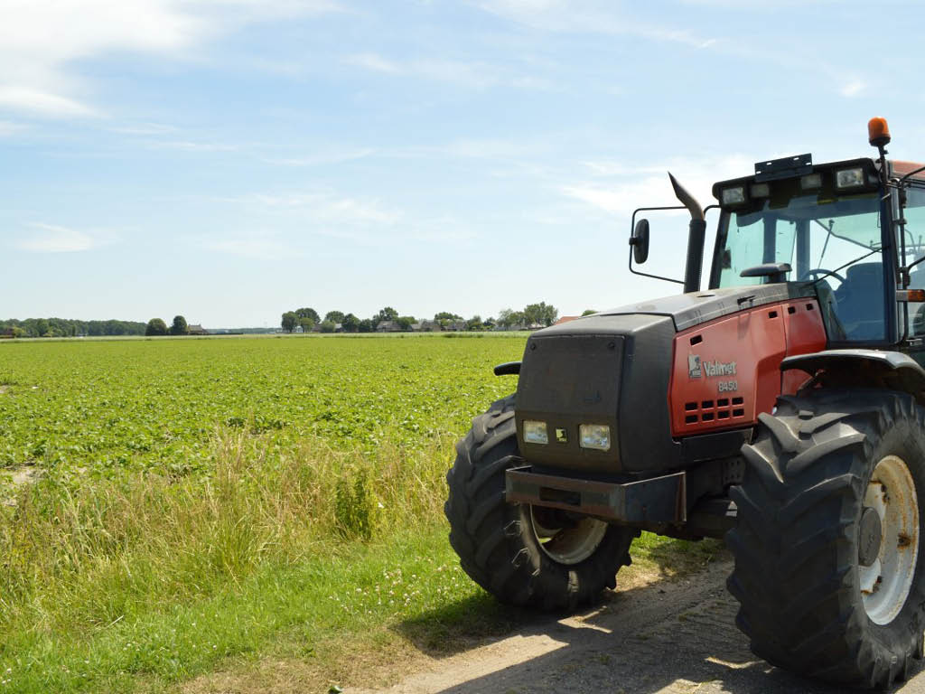 Overzicht externe activiteiten