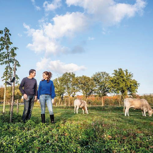 Bedrijfsbezoek: Agroforestry en verdienmodellen