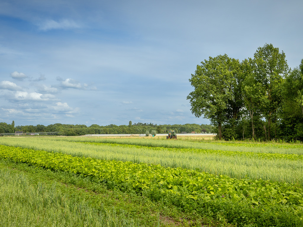 Netwerk Goed Boeren zoekt natuurinclusieve akkerbouwers