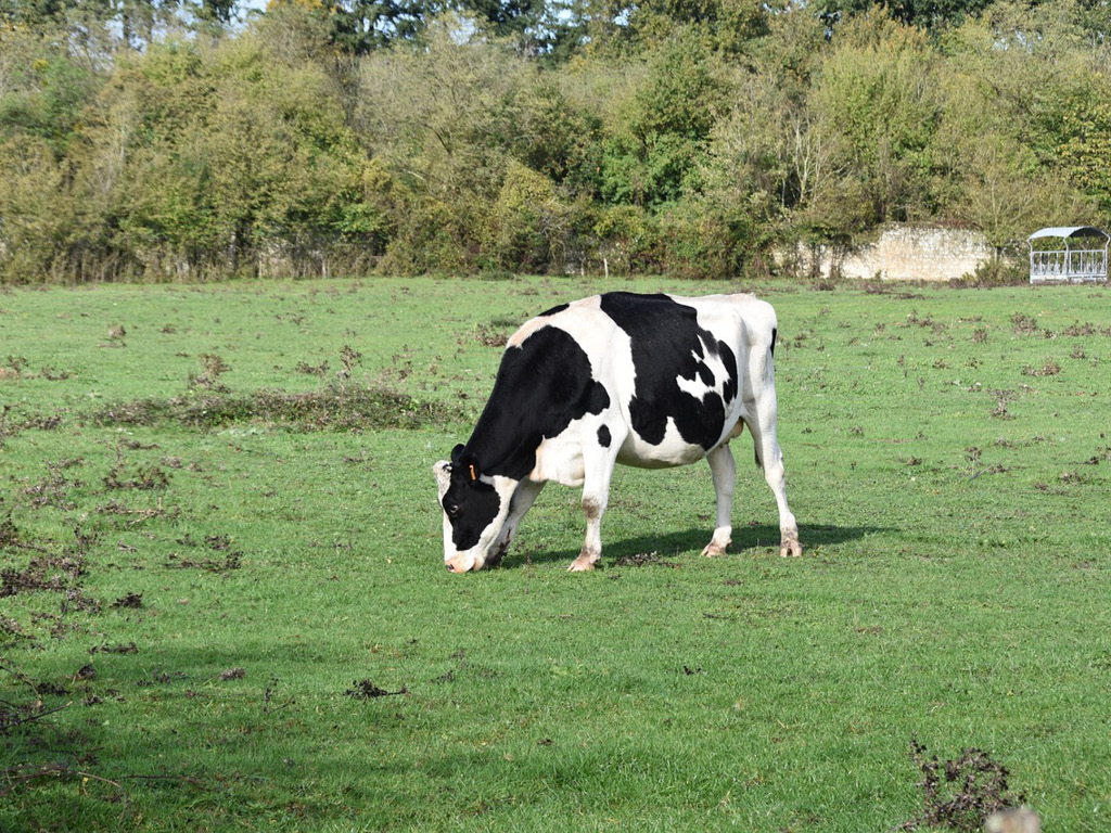 Bedrijfsbezoek: Natuurgrond pachten van een TBO, iets voor mij?